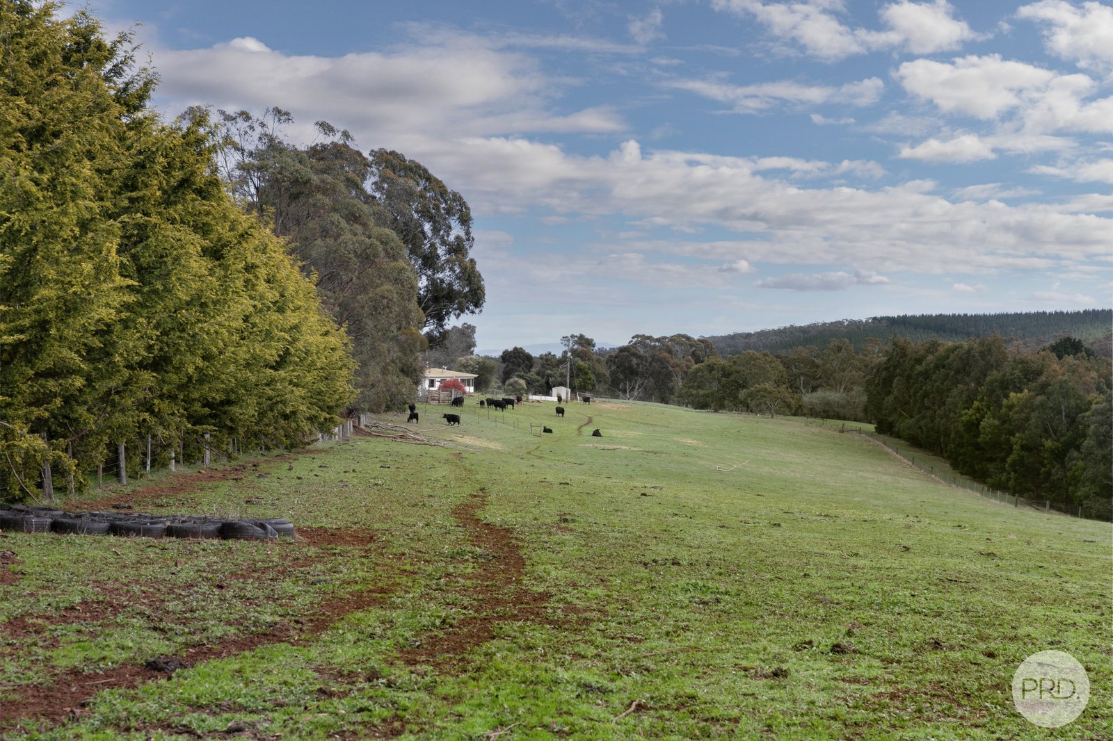 155 Creswick-Dean Road DEAN 23