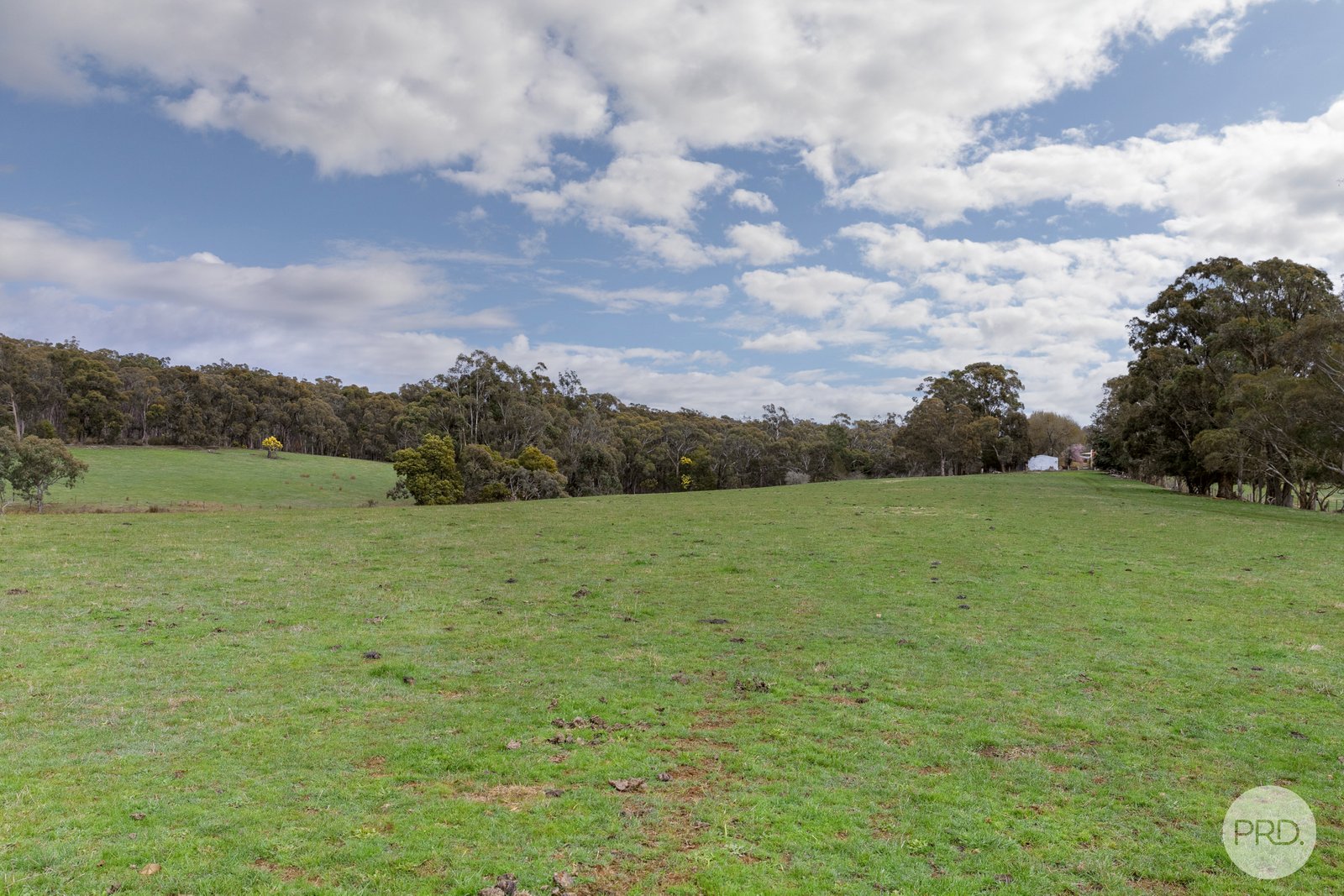 155 Creswick-Dean Road DEAN 24