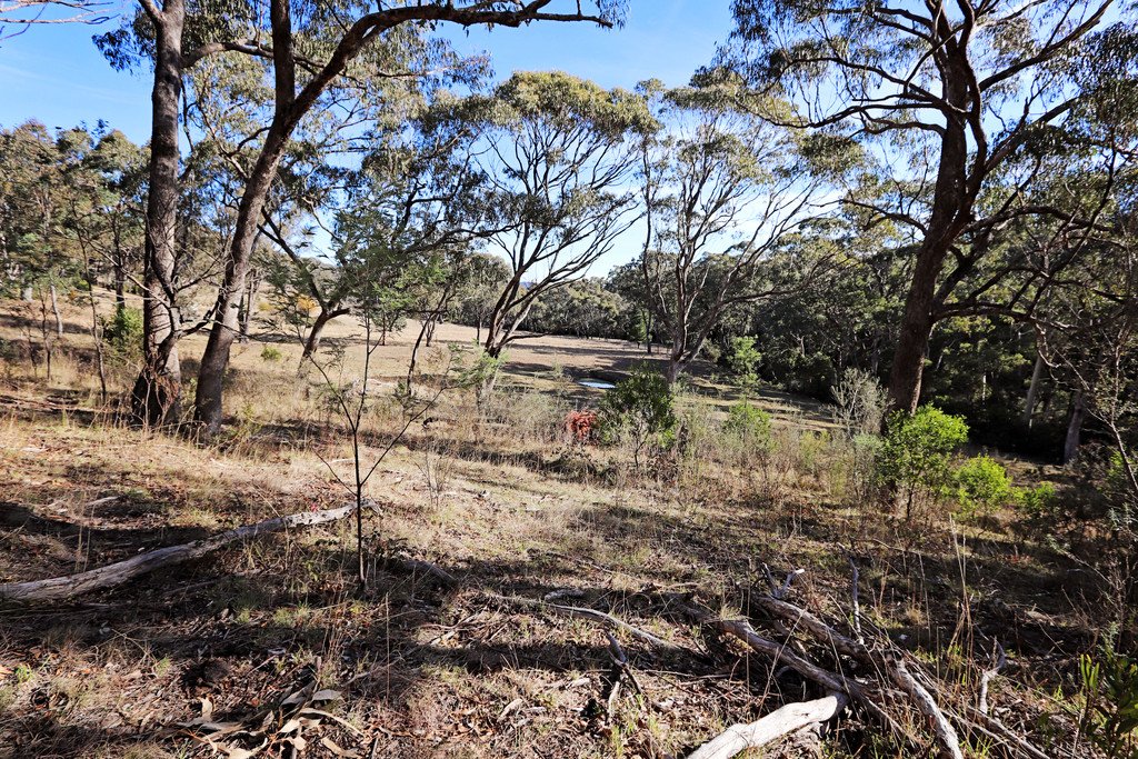 155 Elliott Way TUMBARUMBA 5