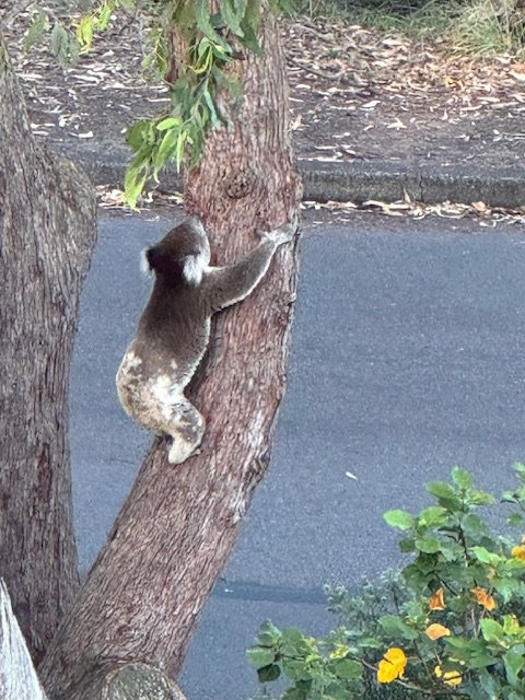 15/5 Mitchell Street SOLDIERS POINT 35