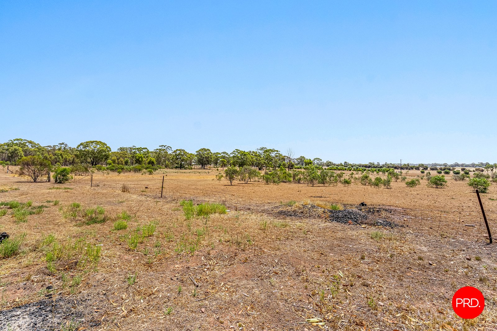 155 Scotts Road NEILBOROUGH 19