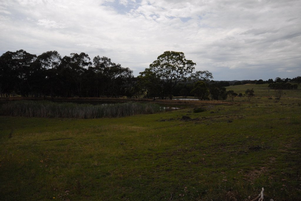 155b Woolshed Lane WAMBOIN 13