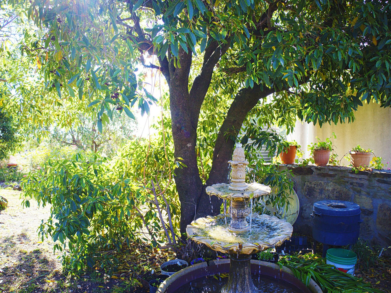 156 Avoca Road STUART TOWN 12