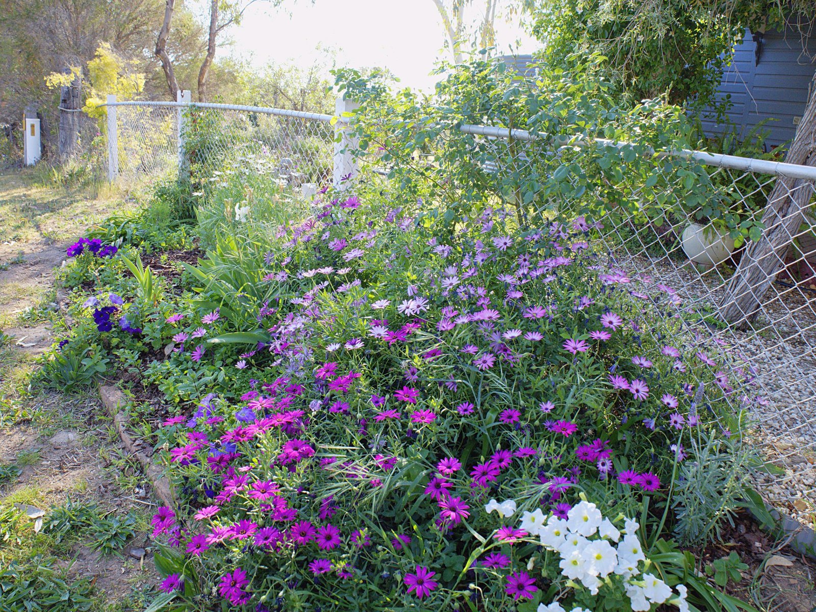 156 Avoca Road STUART TOWN 14