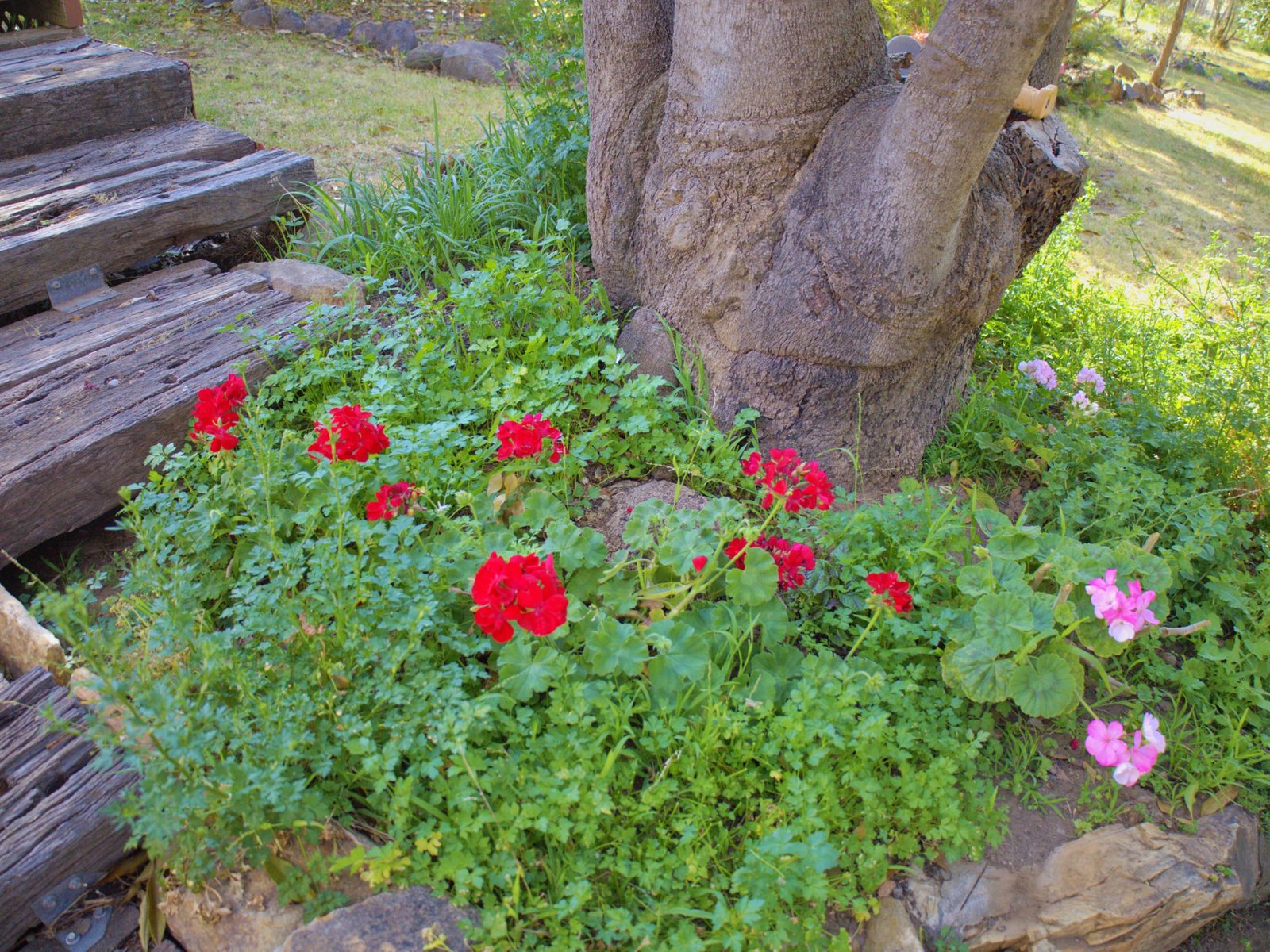 156 Avoca Road STUART TOWN 16