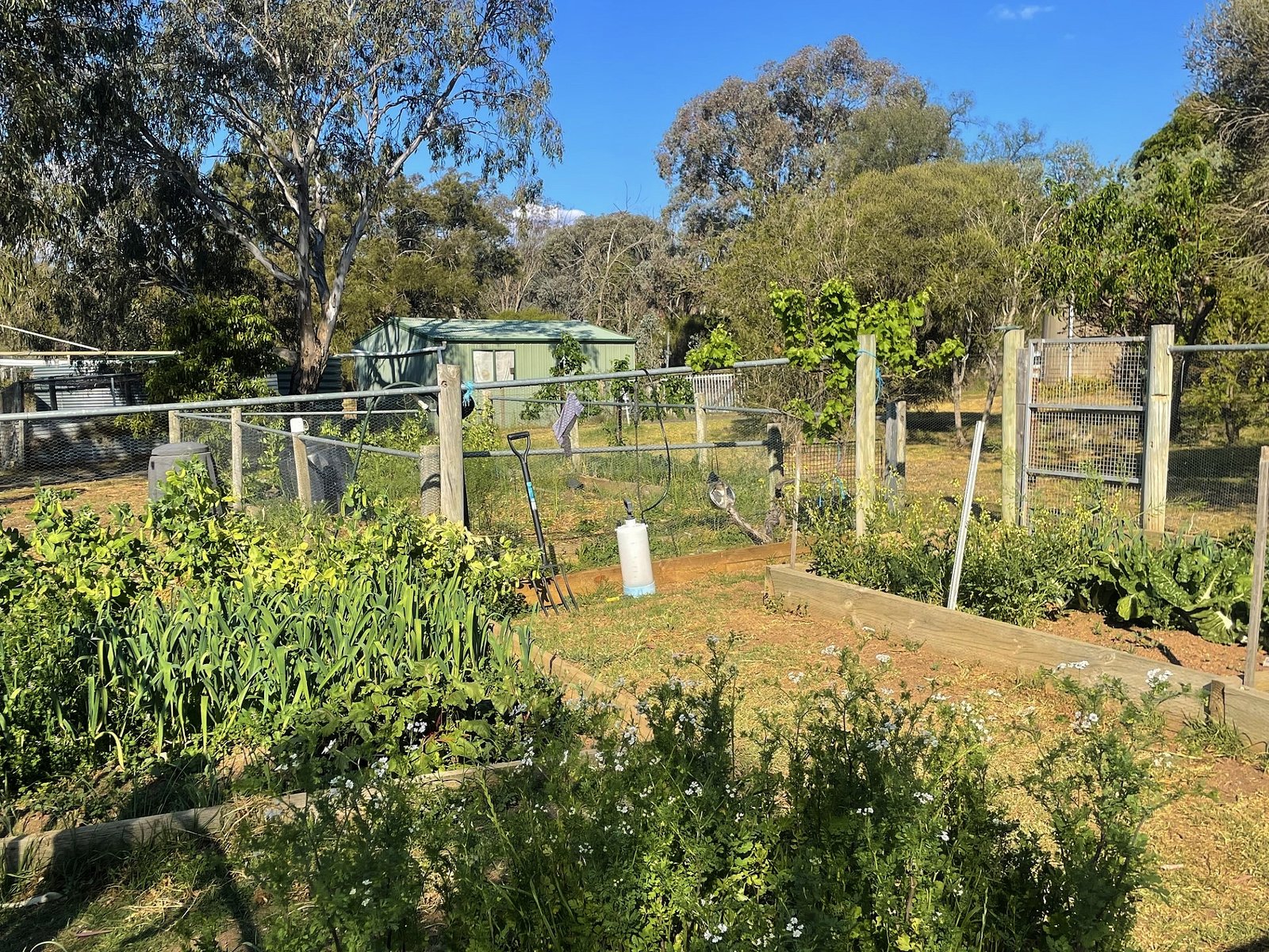 156 Avoca Road STUART TOWN 17