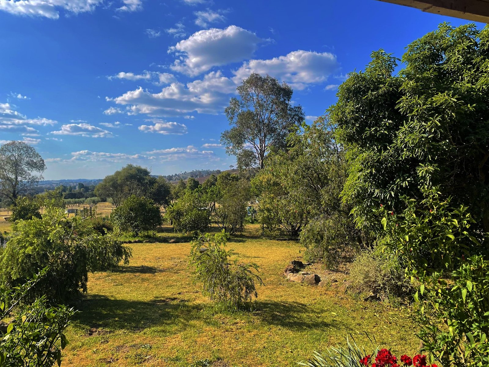 156 Avoca Road STUART TOWN 18