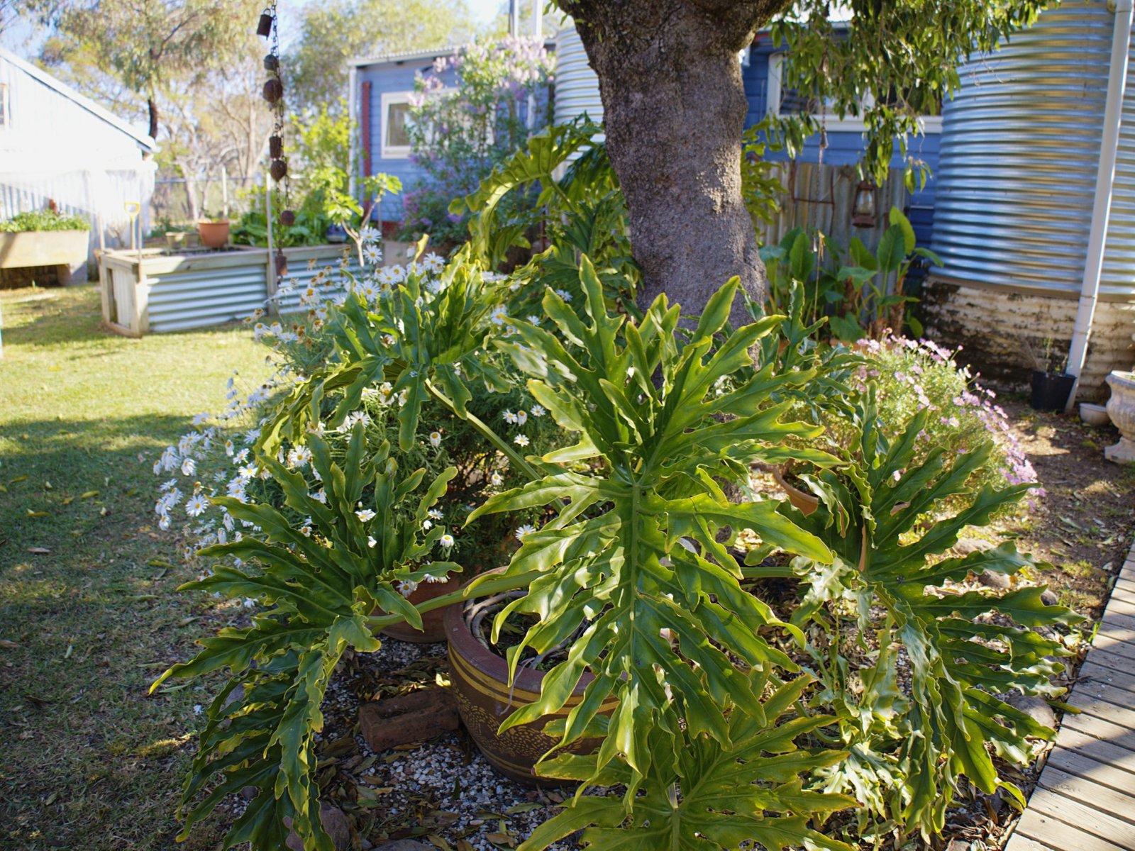 156 Avoca Road STUART TOWN 20