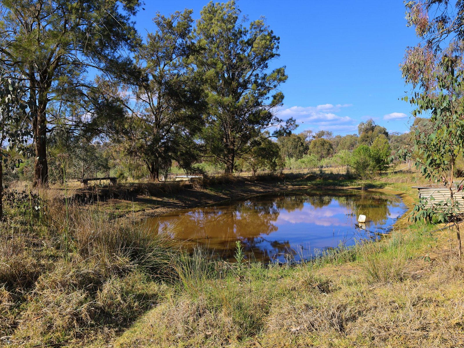 156 Avoca Road STUART TOWN 21