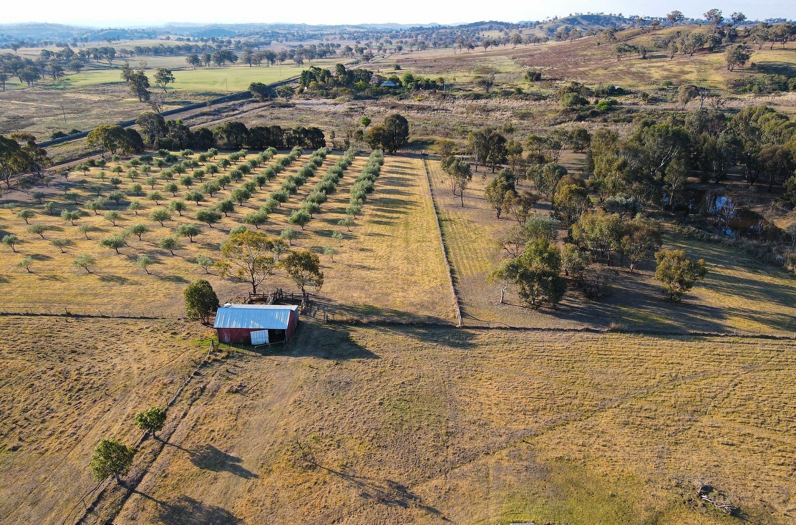 156 Avoca Road STUART TOWN 24