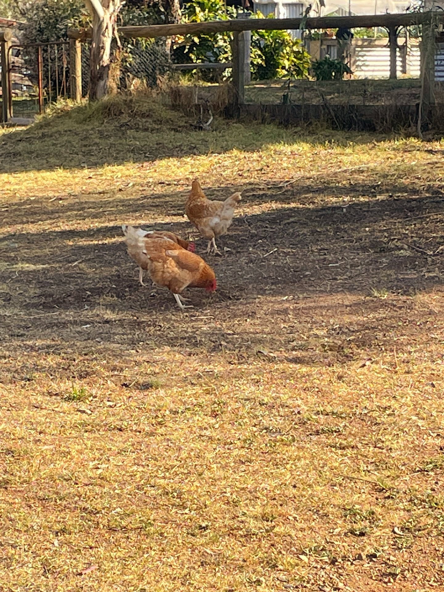 156 Avoca Road STUART TOWN 27