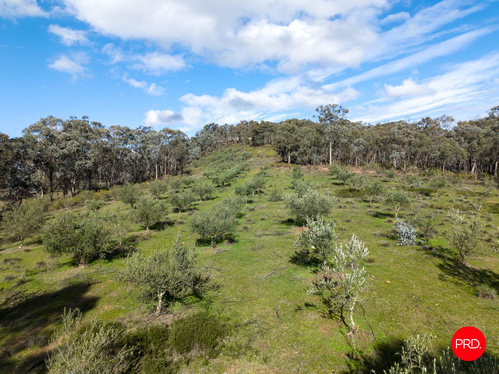 156 Bradleys Lane HEATHCOTE 17
