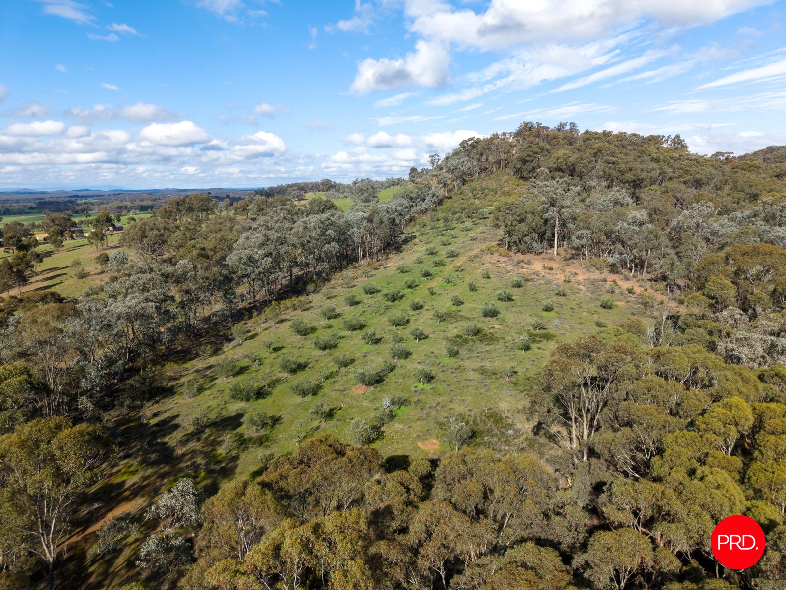 156 Bradleys Lane HEATHCOTE 20