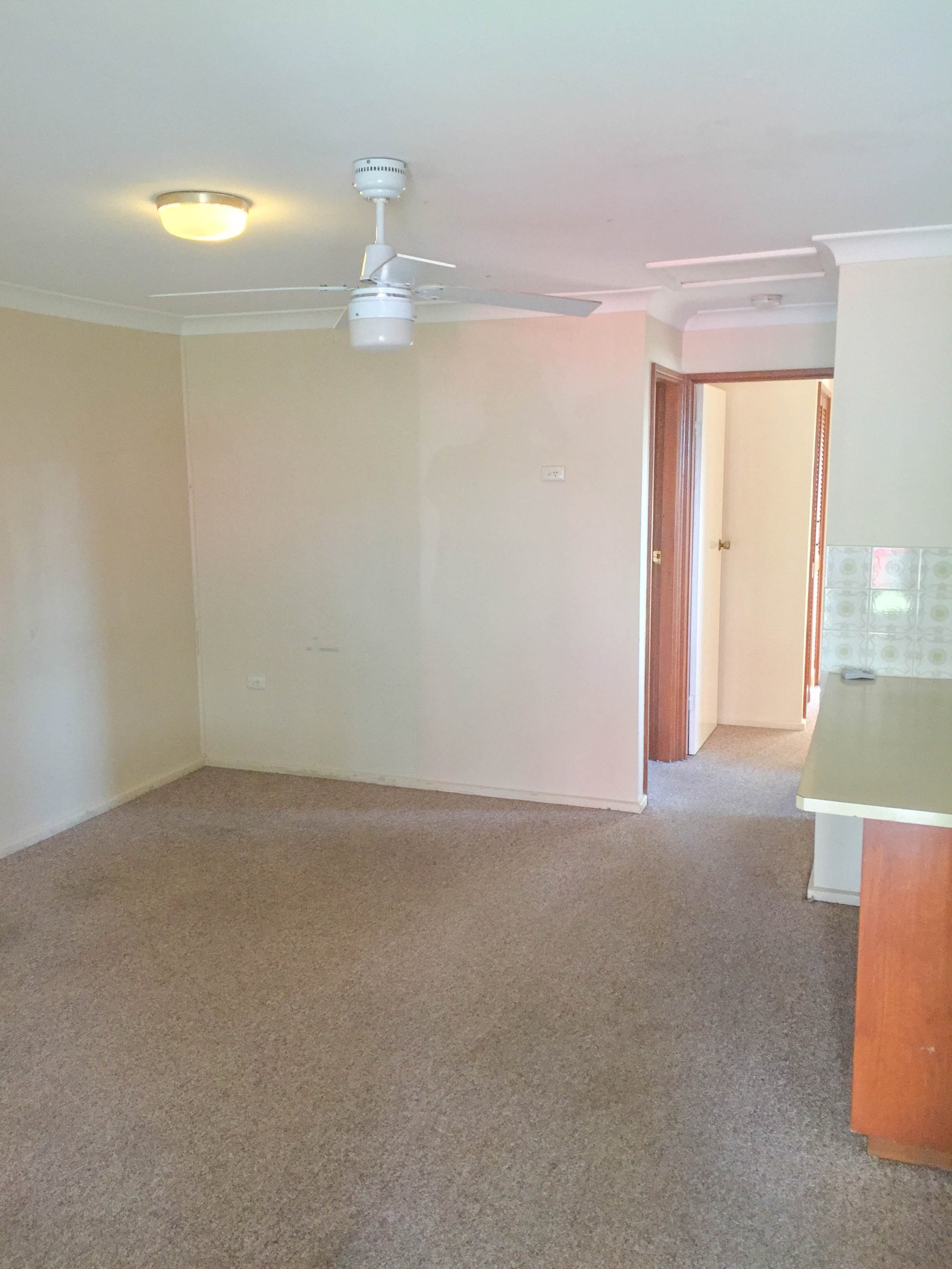 1/56 Evans Street WAGGA WAGGA 4