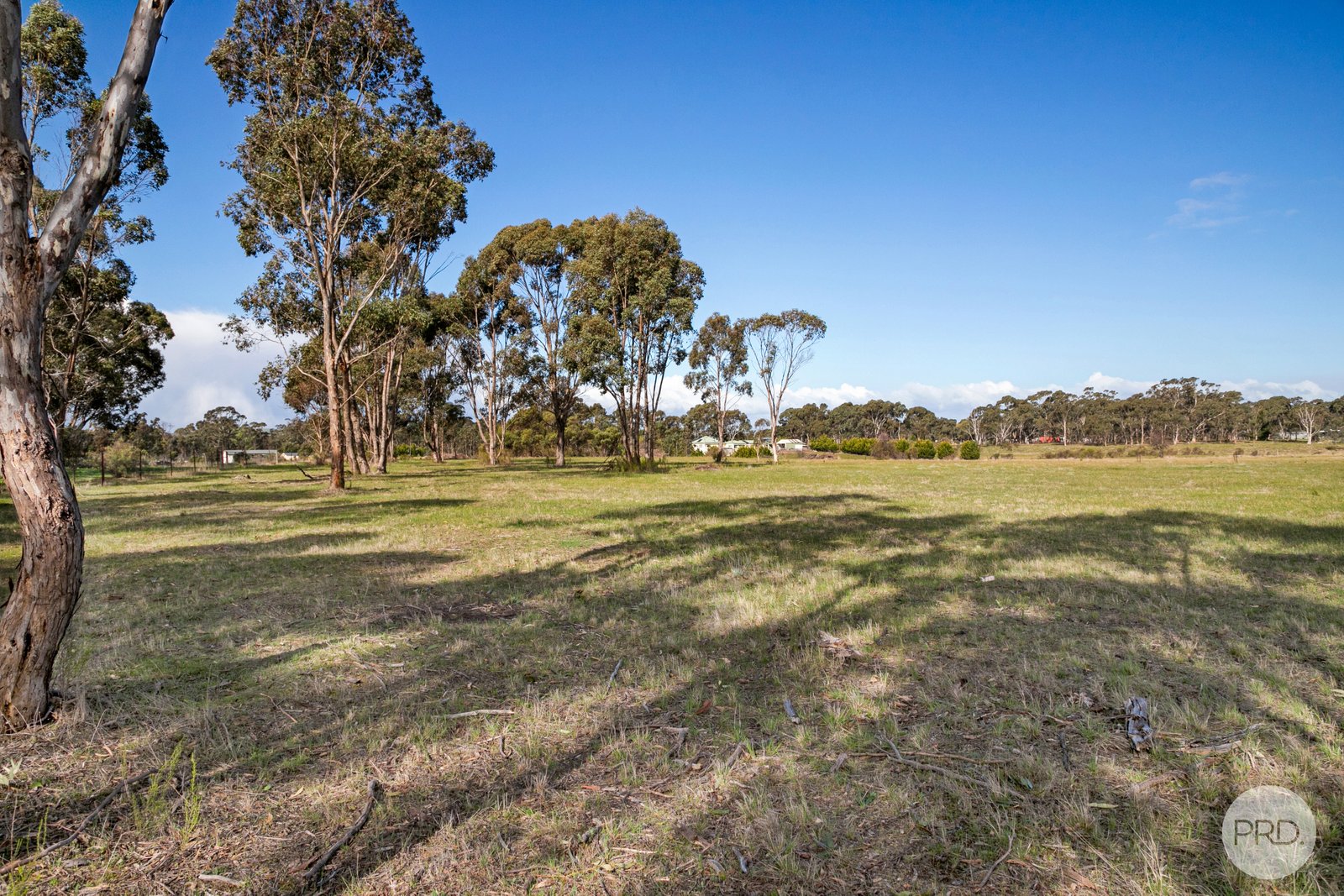 156 Fairview Drive CLUNES 4