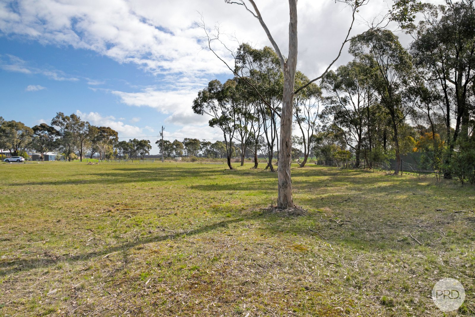 156 Fairview Drive CLUNES 5