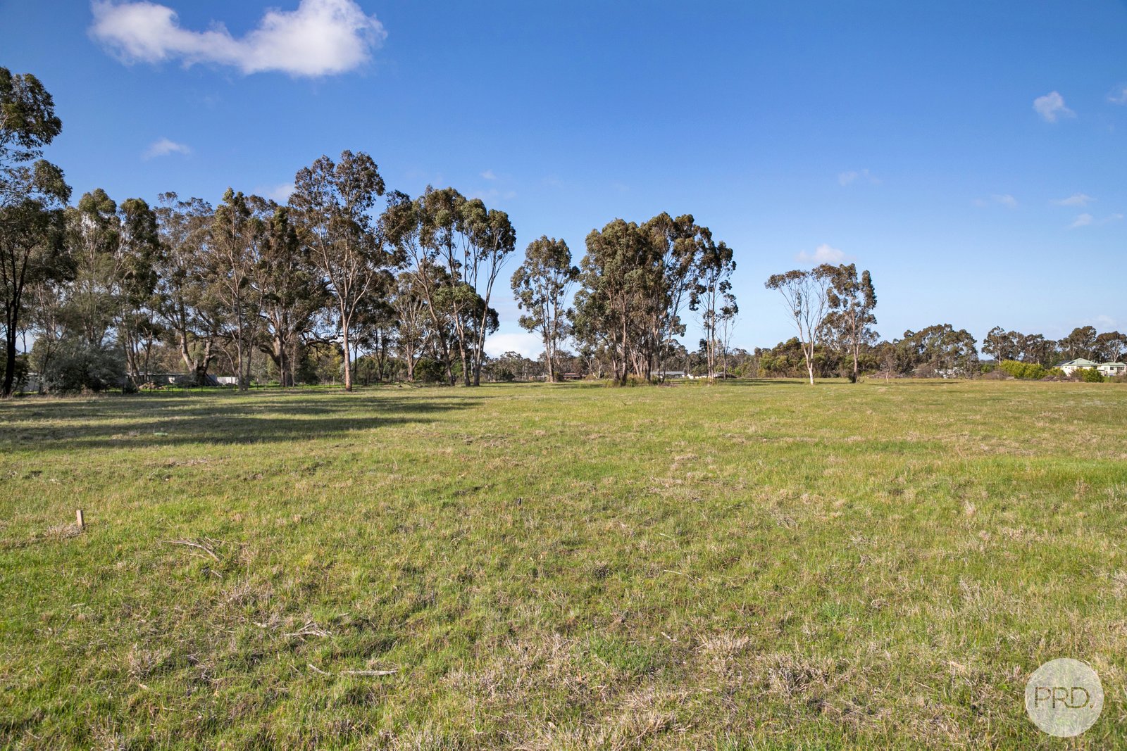 156 Fairview Drive CLUNES 6