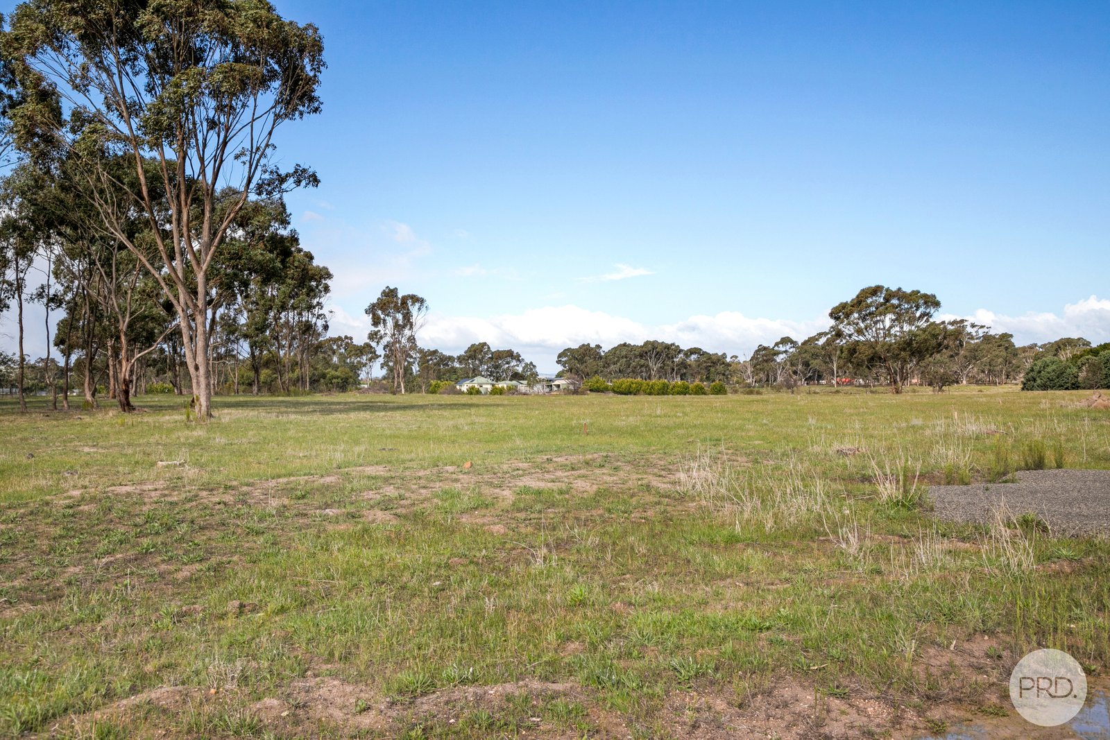 156 Fairview Drive CLUNES 7
