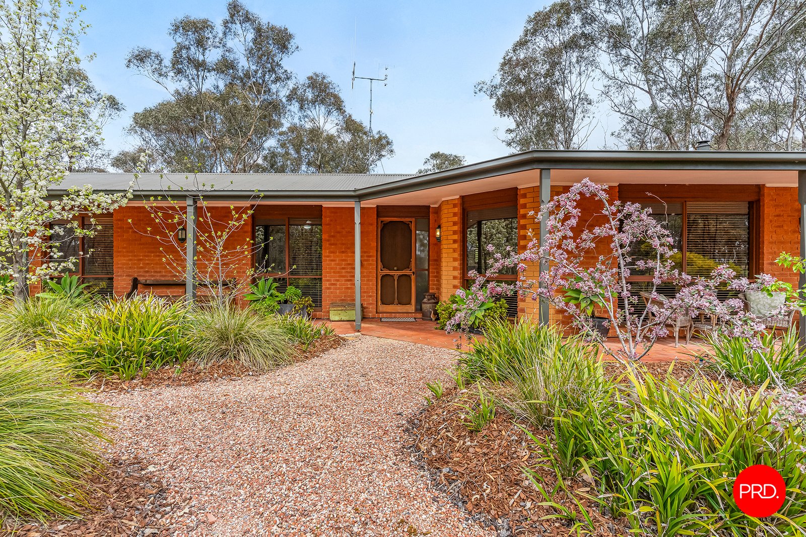 156 Trotting Terrace JUNORTOUN 3