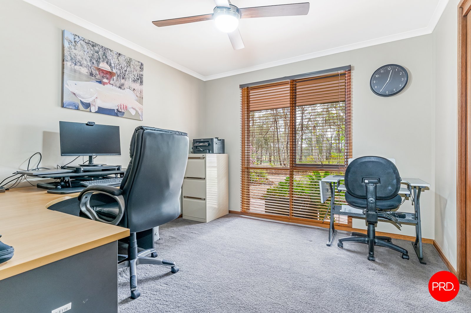 156 Trotting Terrace JUNORTOUN 17