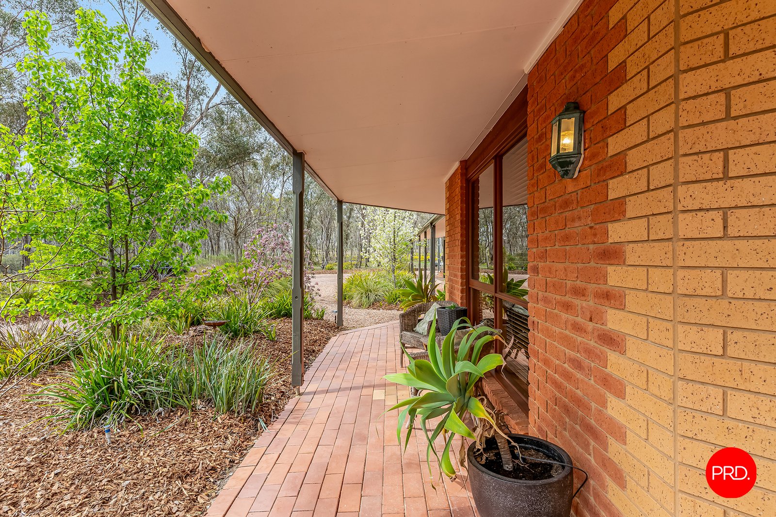 156 Trotting Terrace JUNORTOUN 26