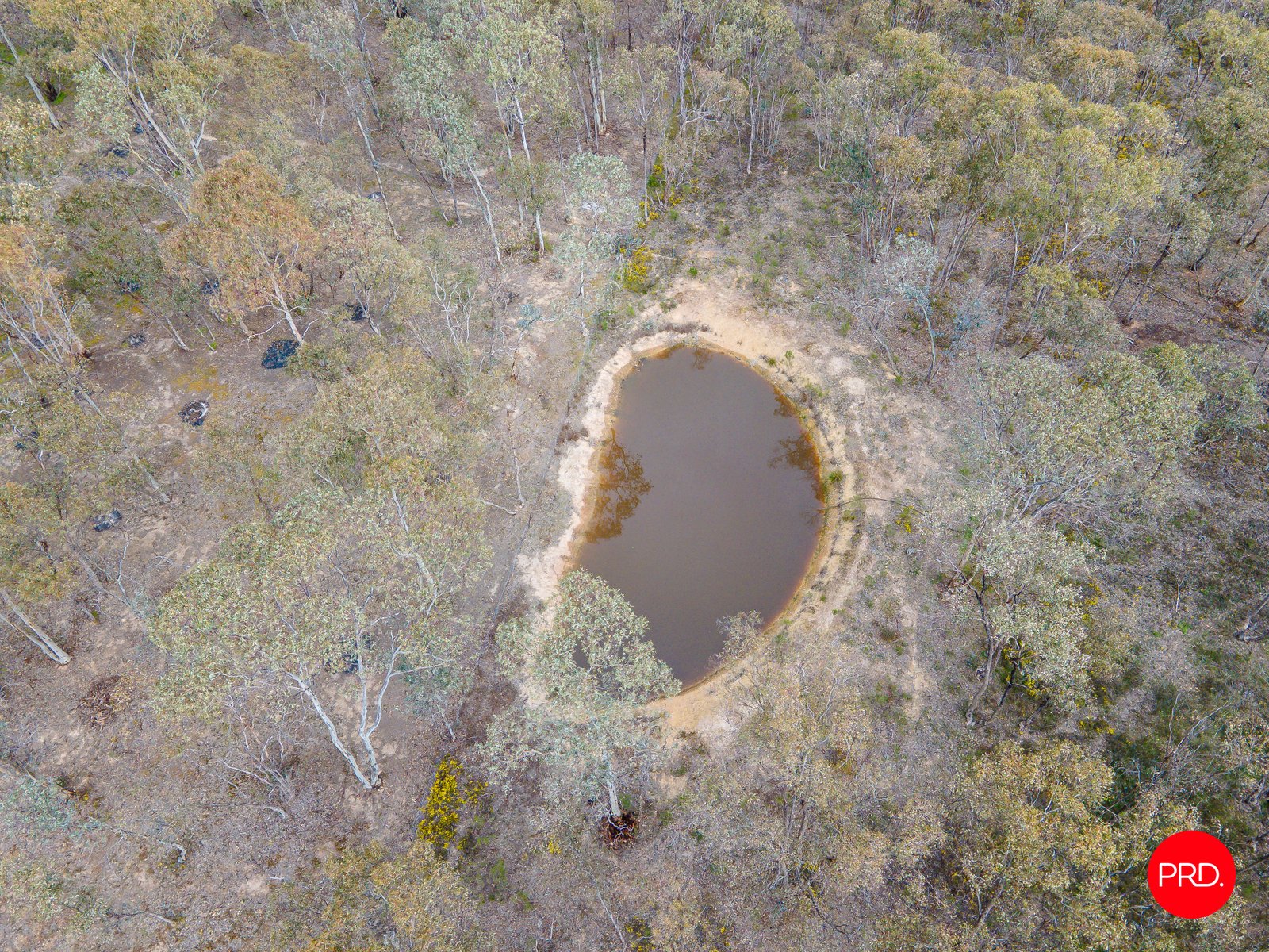 156 Trotting Terrace JUNORTOUN 30