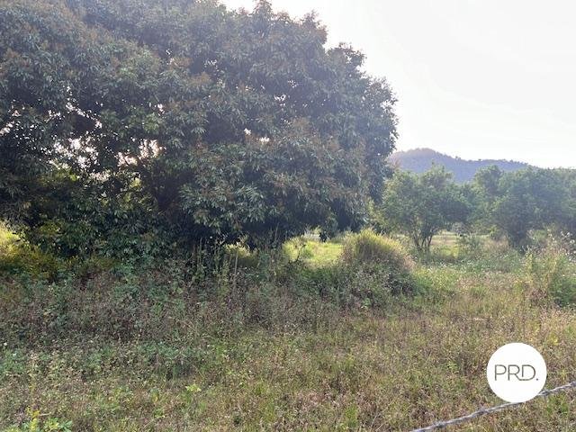 1562 Owens Creek Loop Road OWENS CREEK 4