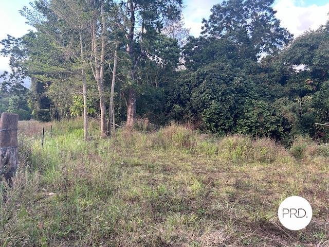 1562 Owens Creek Loop Road OWENS CREEK 5