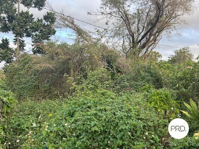 1562 Owens Creek Loop Road OWENS CREEK 8