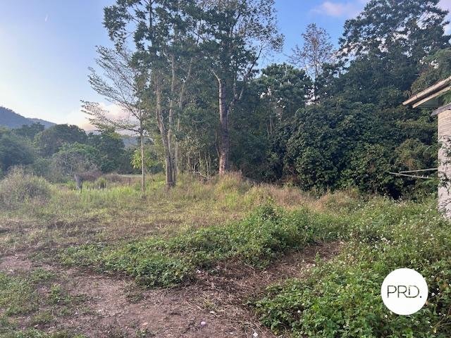 1562 Owens Creek Loop Road OWENS CREEK 9