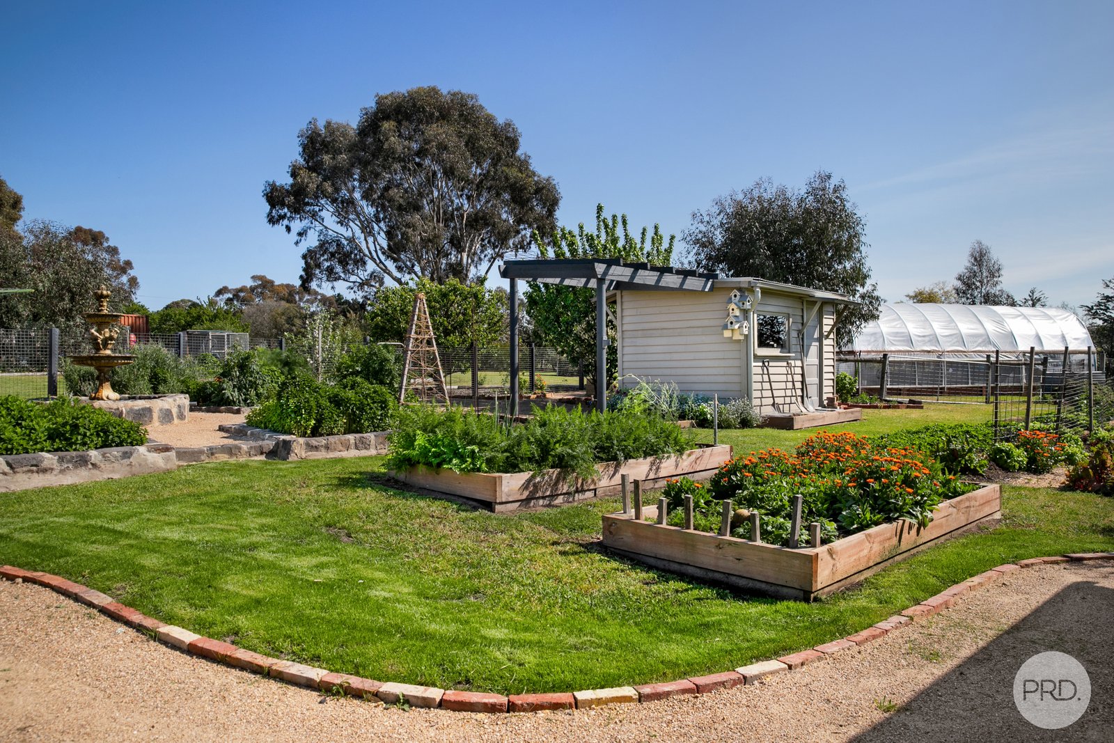 1566 Cape Clear-Rokewood Road CAPE CLEAR 17