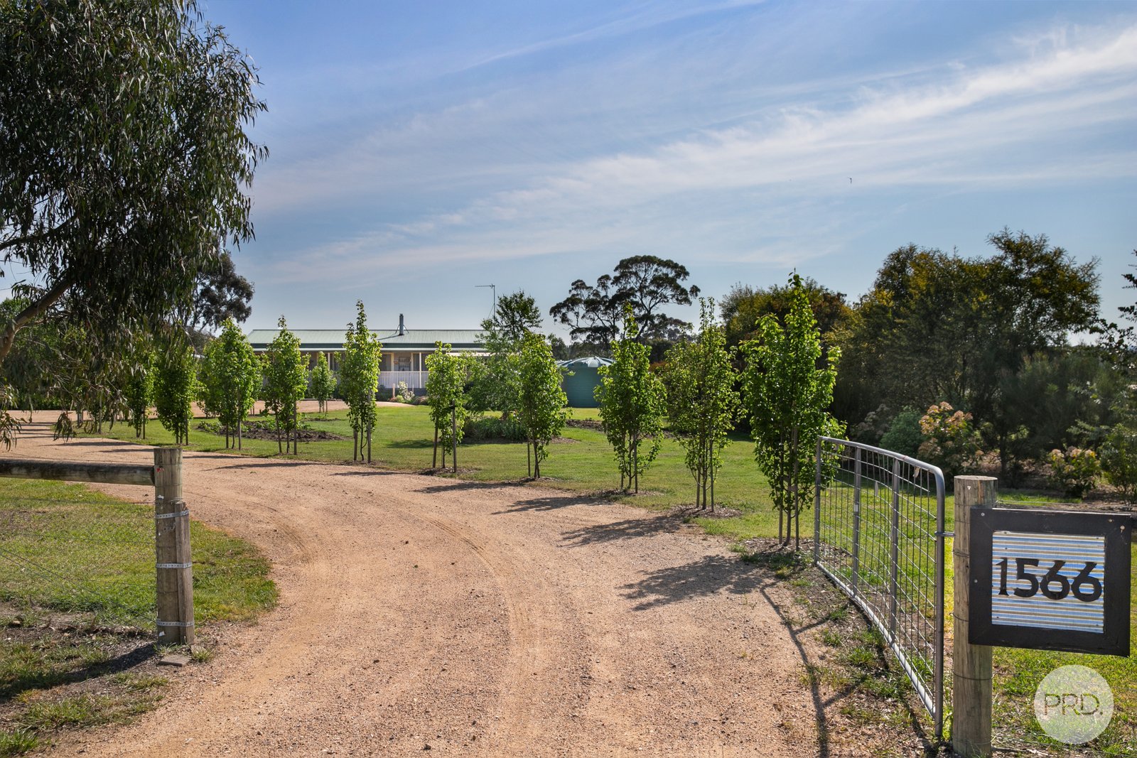 1566 Cape Clear-Rokewood Road CAPE CLEAR 25