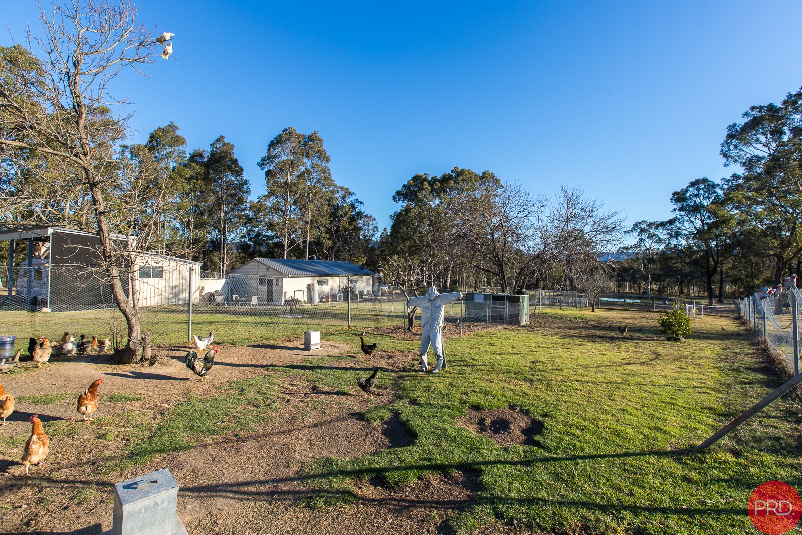 1578 Sandy Creek Road ELLALONG 20