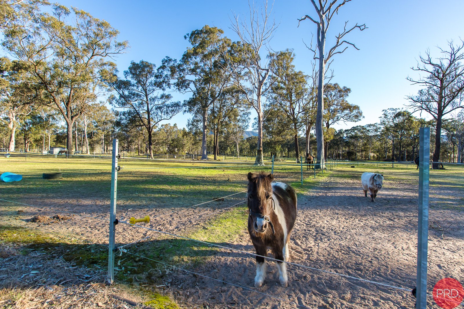 1578 Sandy Creek Road ELLALONG 21
