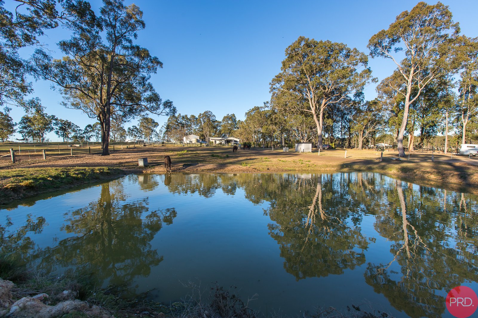 1578 Sandy Creek Road ELLALONG 22