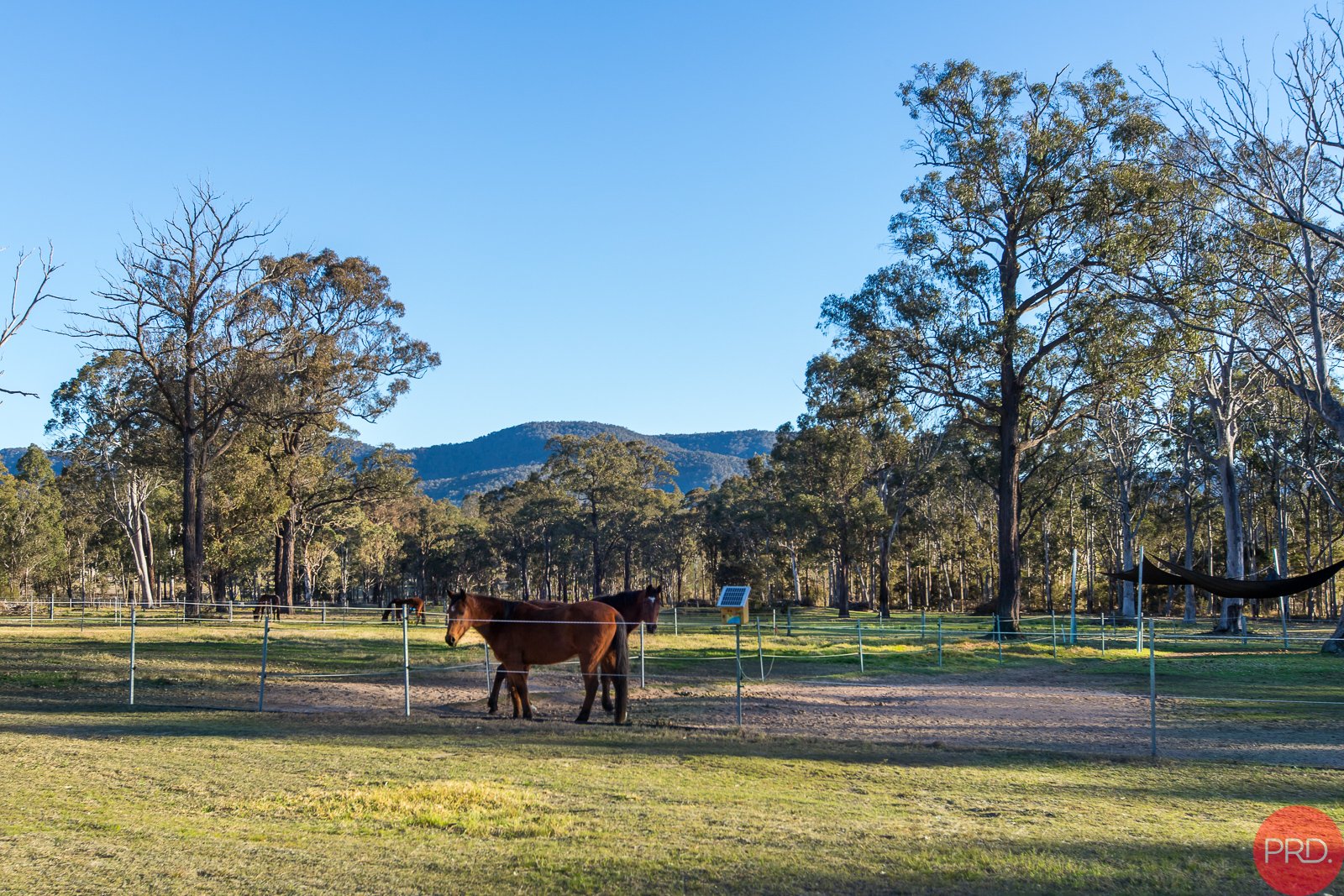 1578 Sandy Creek Road ELLALONG 24