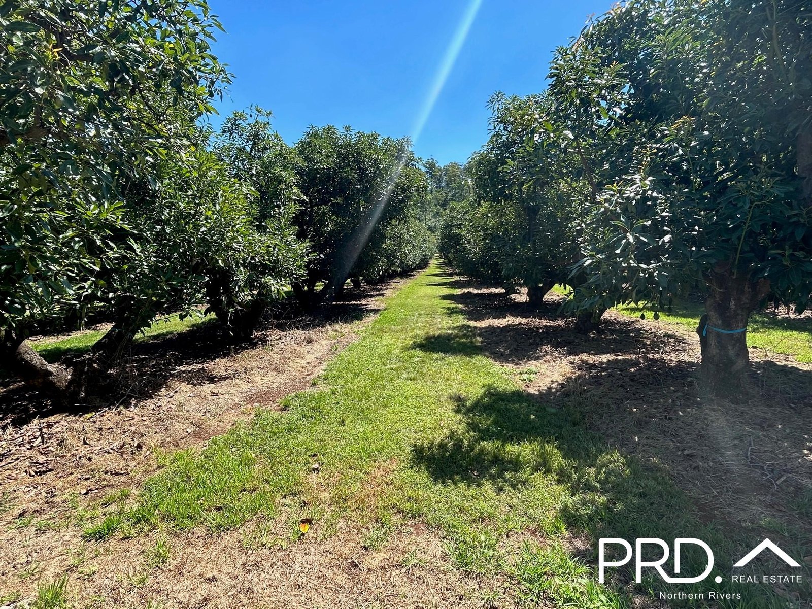 158 Crescent Hills Road TABULAM 6