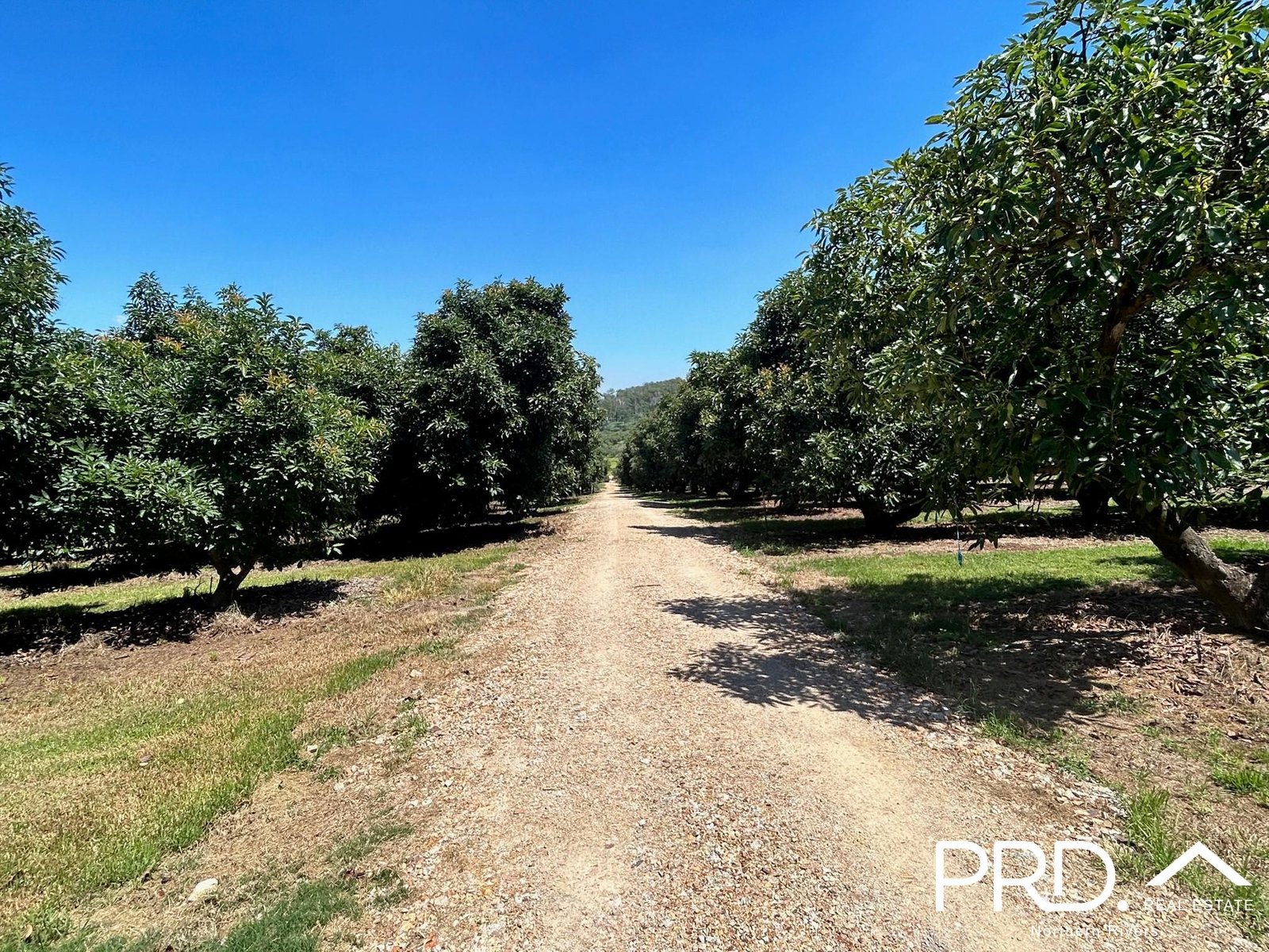 158 Crescent Hills Road TABULAM 11