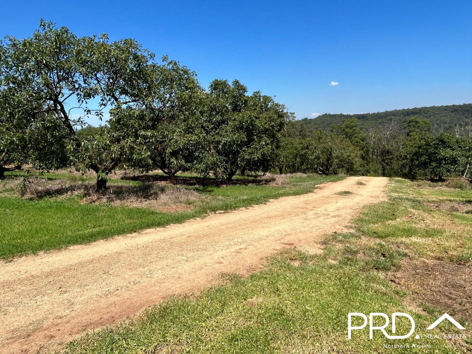 158 Crescent Hills Road TABULAM 16