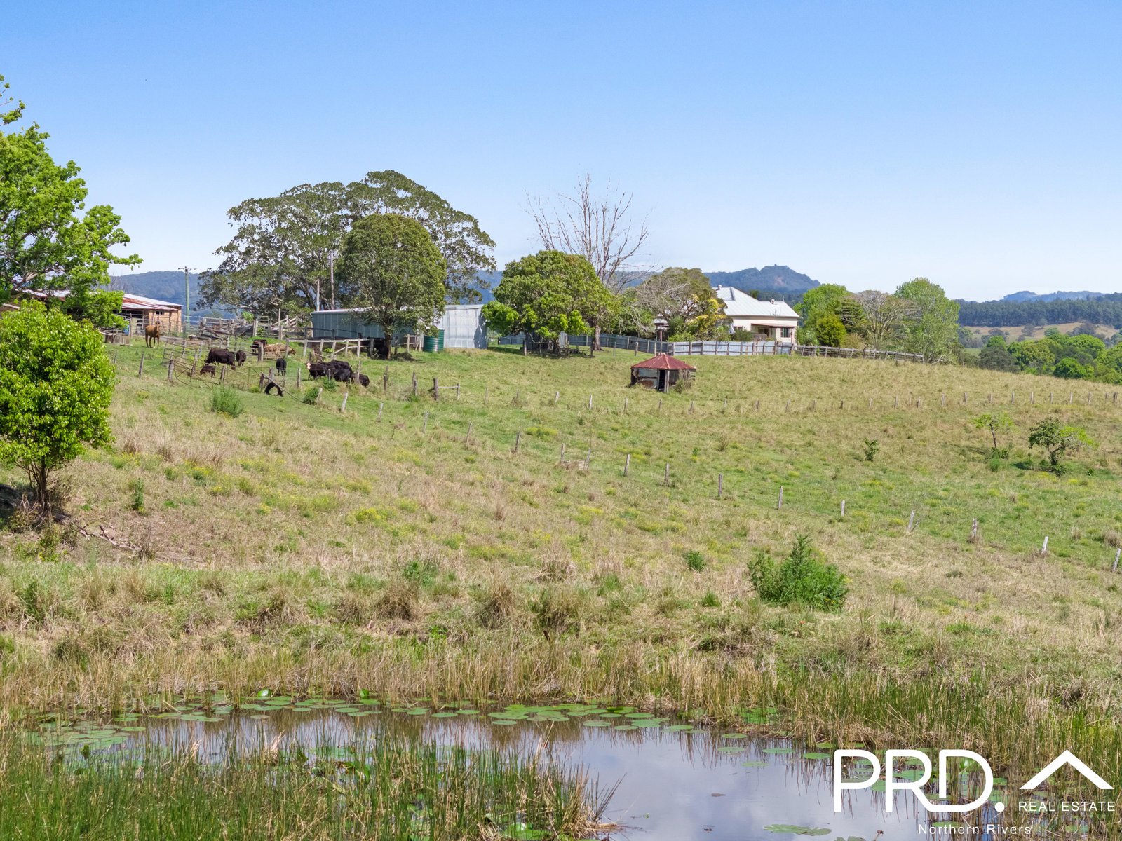 158 Crofton Road NIMBIN 25