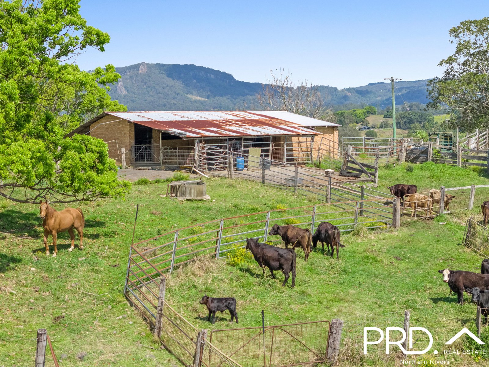 158 Crofton Road NIMBIN 26