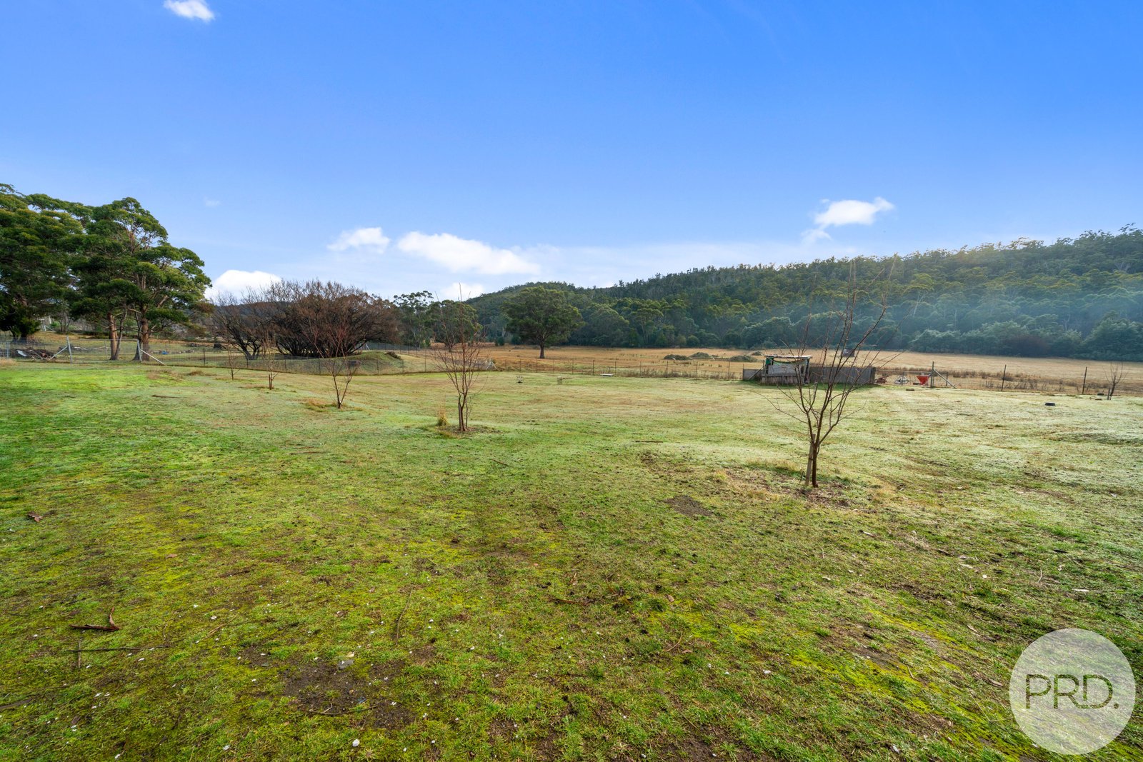 158 Ellendale Road WESTERWAY 31