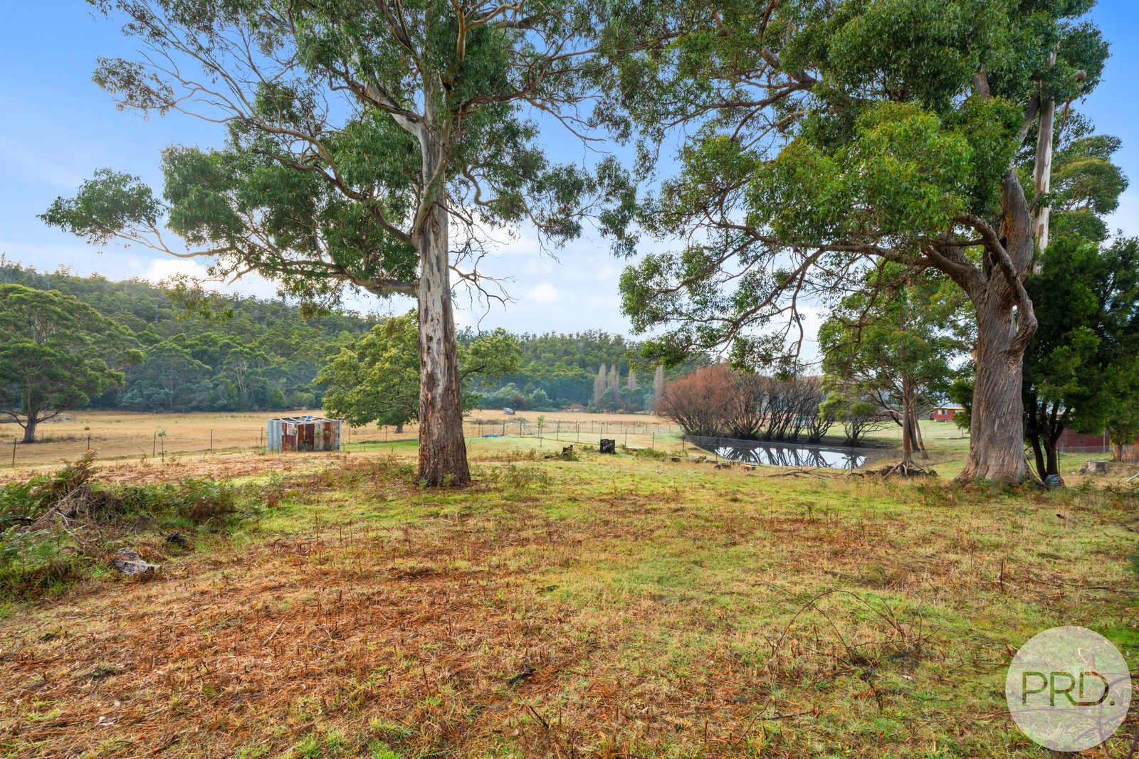 158 Ellendale Road WESTERWAY 33