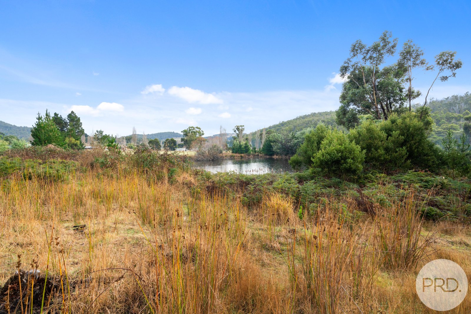 158 Ellendale Road WESTERWAY 34