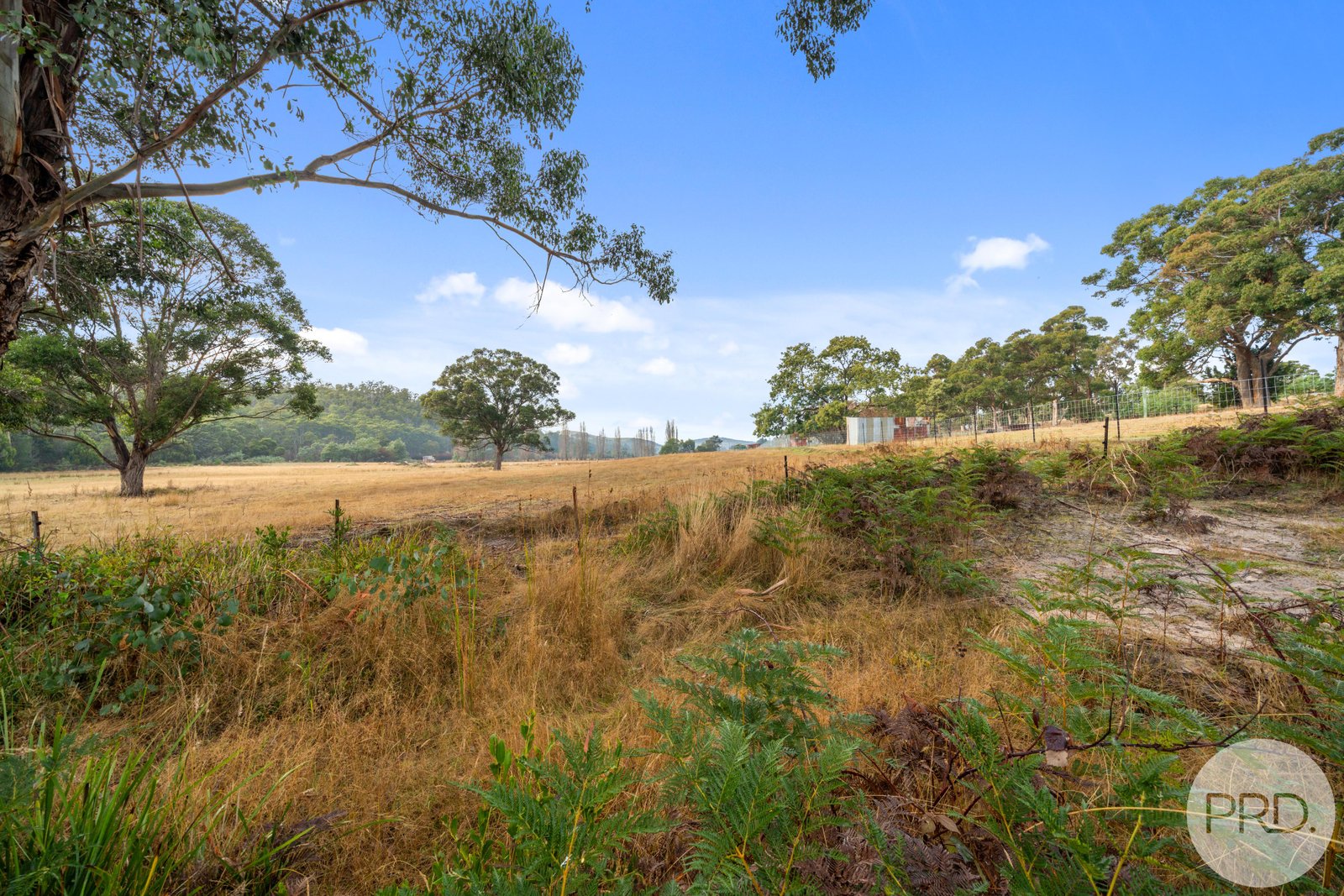 158 Ellendale Road WESTERWAY 35