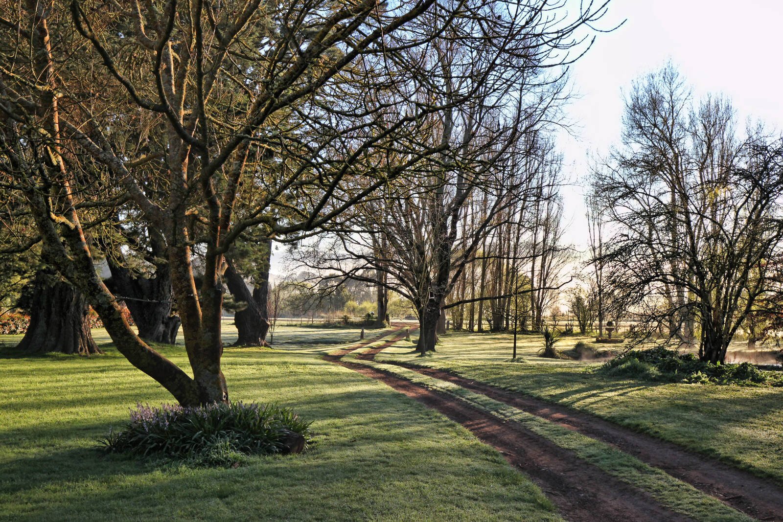 Real Estate and Property in 158 Mahers Road, Lancefield, VIC