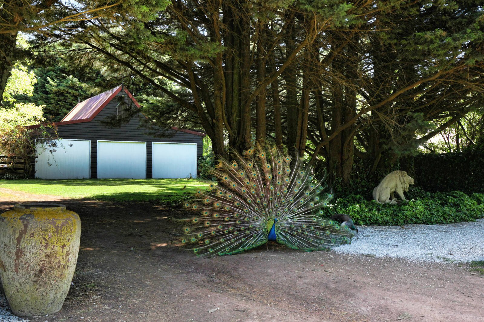 Real Estate and Property in 158 Mahers Road, Lancefield, VIC