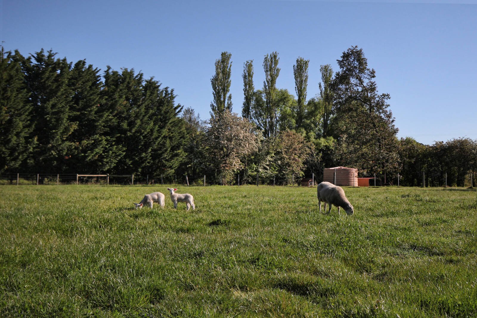 Real Estate and Property in 158 Mahers Road, Lancefield, VIC