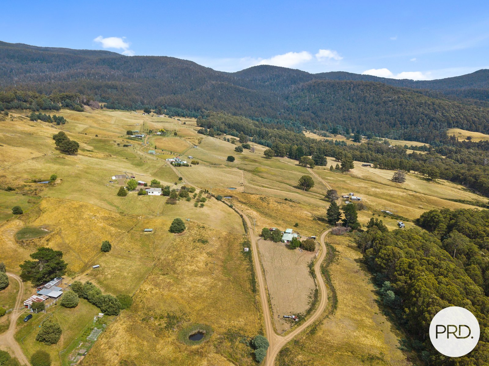 158 Rayners Hill Road ELLENDALE 20