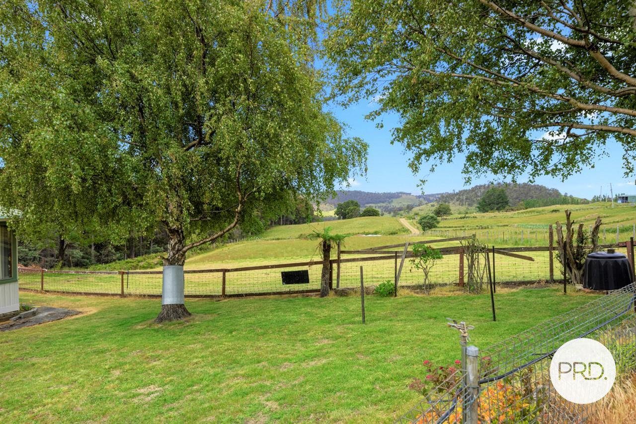 158 Rayners Hill Road ELLENDALE 29